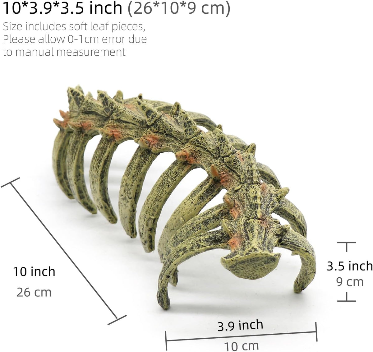 relaqcc Aquarium Skull Animal Skeletons - image 2