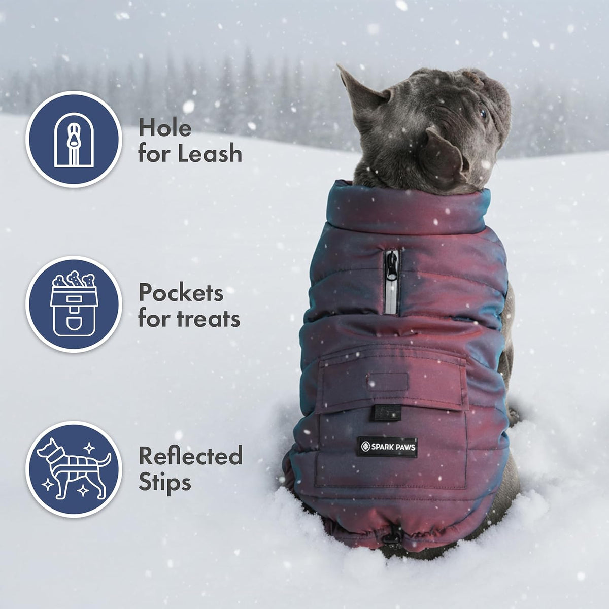 Spark Paws Dog Winter Coat Jacket - Cosmic / Medium - image 3