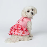 Fitwarm Halloween Pumpkin Dog Dress - Large / Happy V Day - image 2
