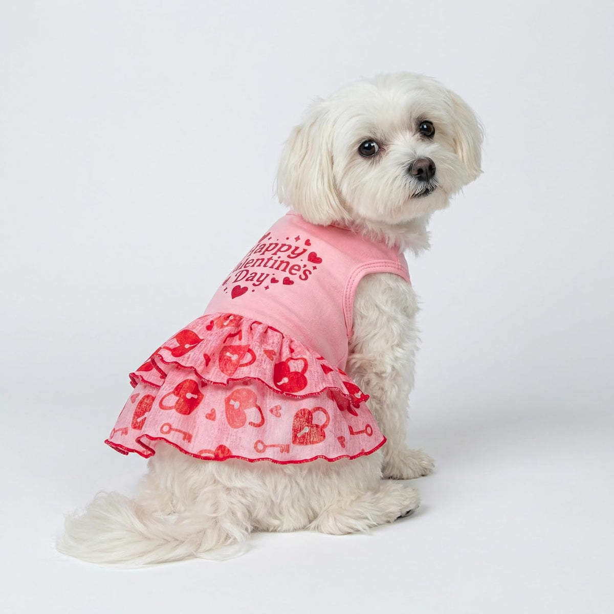 Fitwarm Halloween Pumpkin Dog Dress - Large / Happy V Day - image 2