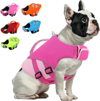 Queenmore XS Dog Life Jacket - X-Small / Pink/Fuchsia