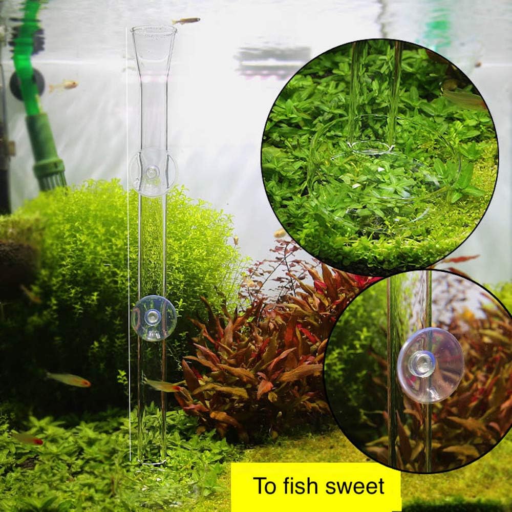Shrimp Feeding Tube and Dish - 12" + 1 Tray - image 3