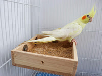 Bird Feeding Cups, Natural Wooden Parrot Perch Stand - 7.9 × 5.9 Inch - image 3
