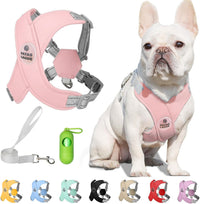 Patas Lague Dog Harness Medium Sized Dog Pet Vest with Leash Set Pink - Pink / M (Neck 19.3-23.3'' Chest 22.5-25.6'')