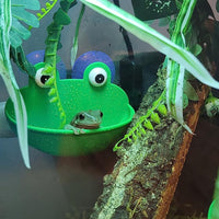2 Pack Frog Suction Terrarium Hide for Tree Frogs Toads Tadpoles – Essentials for Fish - image 2
