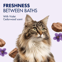 Arm & Hammer Cat Odor Control Spray, Violet Cedarwood - image 3