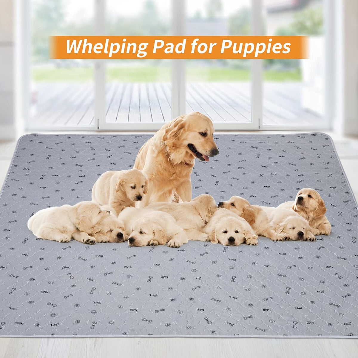 Washable Pee Pads for Dogs - 65X48" (Pack of 1) - image 4