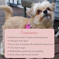 Comfort fit Step-in Dog & Puppy Harness - Comfortable All Weather Dog Vest Harness: Adjustable, Soft Padded, Easy to Put-on for Small, Medium-Sized Dogs.