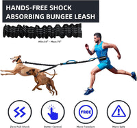 Uppetly Hands Free Double Dog Leash with Pouch - Blue / Medium/Large - image 2