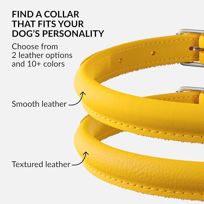 CollarDirect Rolled Leather Dog Collar, Soft Padded Round Puppy Collar, Handmade Genuine Leather Collar Dog Small Large Cat Collars 13 Colors (15-19 Inch, Yellow Smooth)