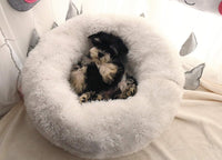 Cat Bed for Indoor Cats, Mini Plush Self Warming Kitten Bed - Small 20'' / White - image 2