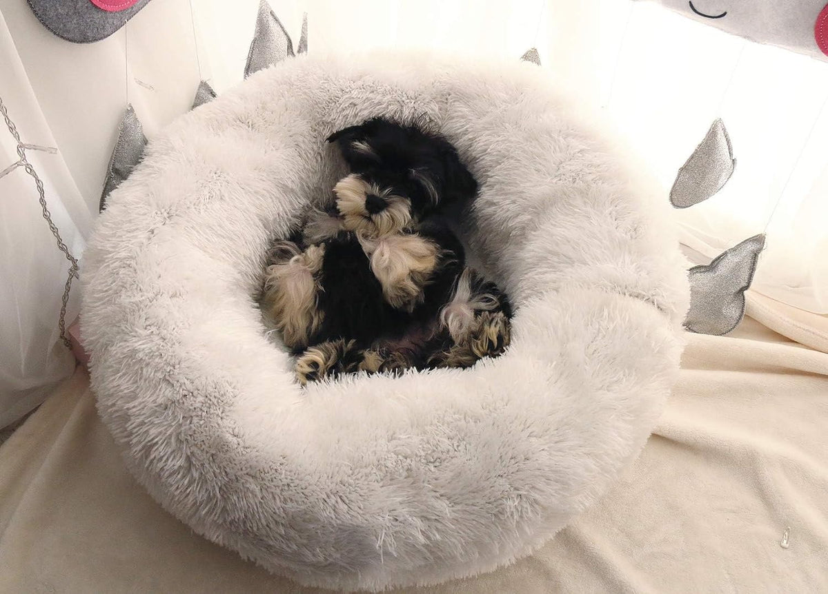 Cat Bed for Indoor Cats, Mini Plush Self Warming Kitten Bed - Small 20'' / White - image 2