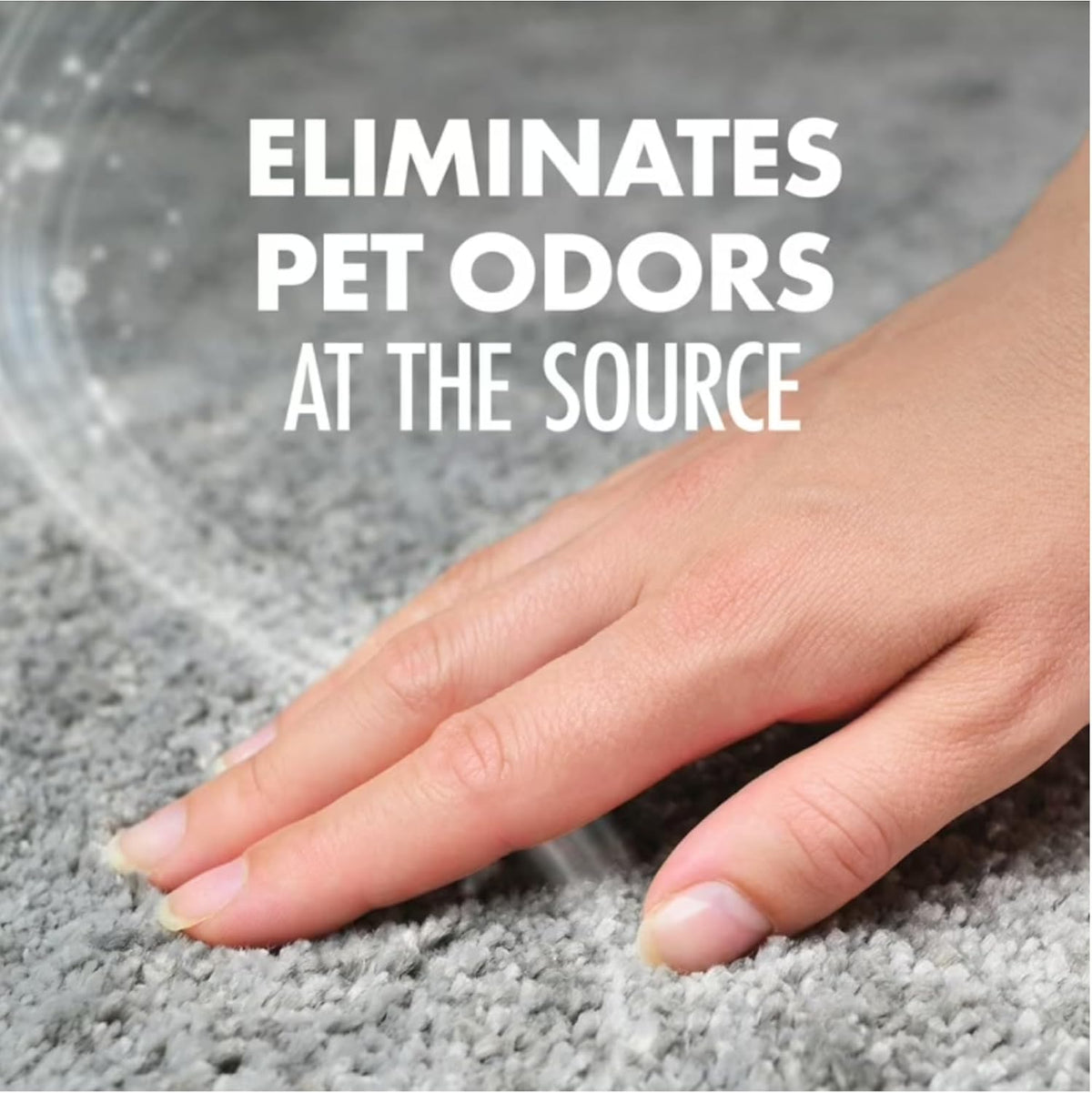 Pet Fresh Carpet Odor Eliminator - 16.3 Ounce (Pack of 12) - image 3