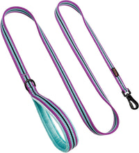 6FT Reflective Dog Leash for Small Medium Dogs, 5/8" Width - Mixed-Blue / 3/4''x 6 FT - image 3