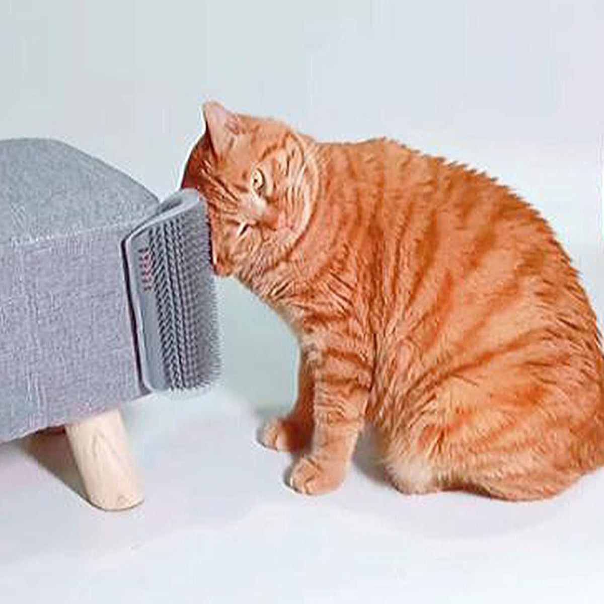 Cat Face Scratcher Wall Corner Massage Comb, Self Grooming Brush – Essentials for Cats - grey - image 4
