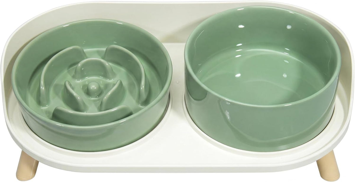 Elevated Slow Feeder Dog Bowls with Splash Proof Stand - Medium / Green