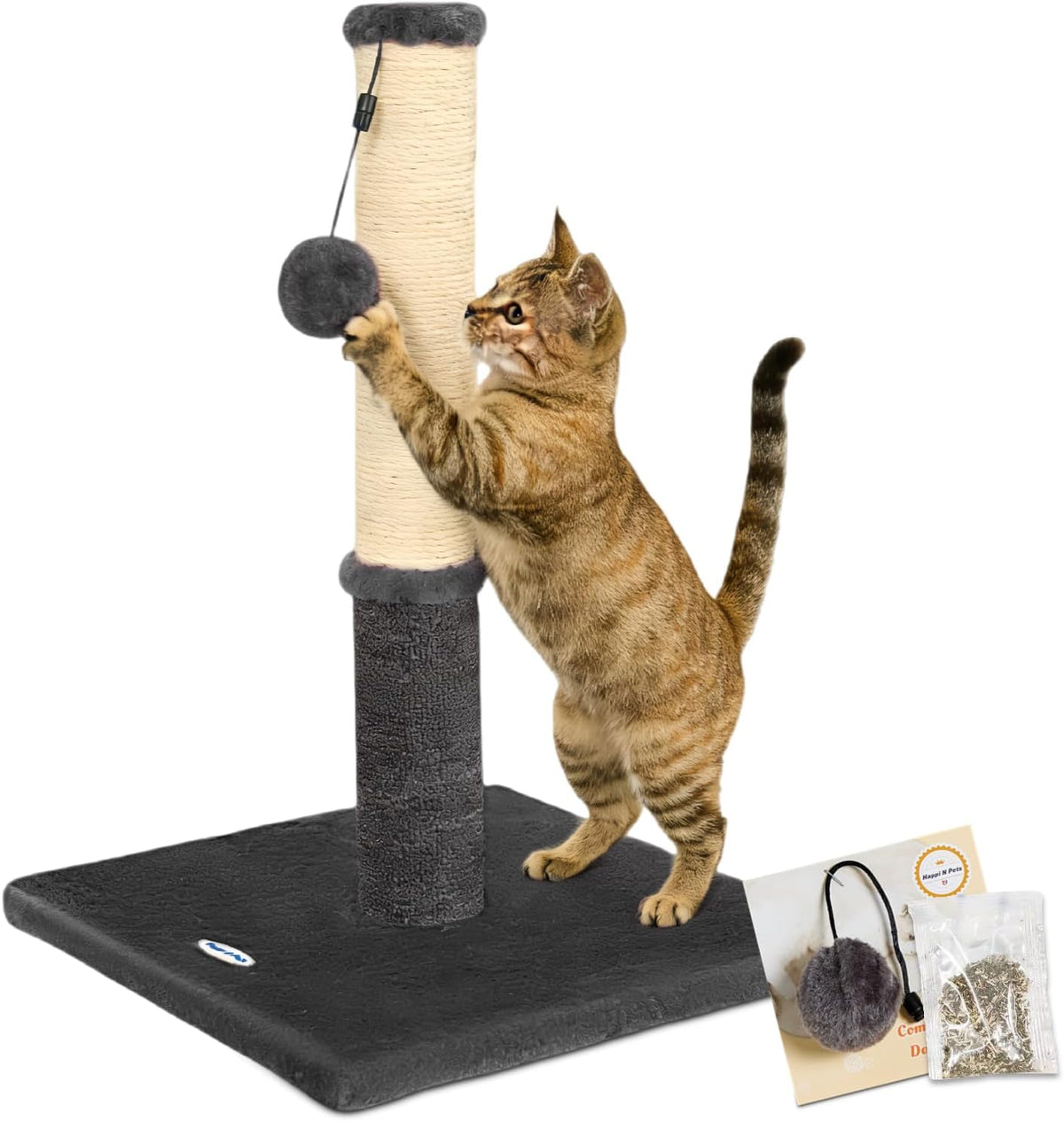 Cat Scratching Post, Cat Scratchers for Indoor Cats with Toys – Essentials for Cats - 21.6" / Smokey Gray
