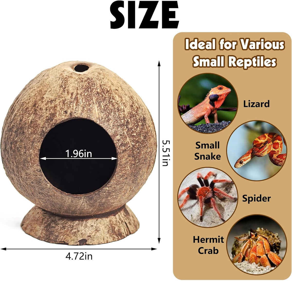 PINVNBY 2 PCS Natural Coconut Reptile Hideouts Lizard Coco Hut Hermit - Smooth Surface / High-Crowned Style, 2PCS - image 2