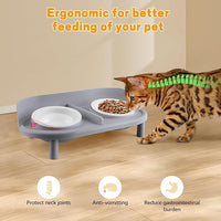 Elevated Cat Bowls, Tilted Rised Cat Food and Water Bowl with 2 Pcs Ceramic Pet Bowls, Rised Stand, Pet Dish Anti Vomiting Feeding Station for All Sized Cats & Small Dogs (Grey)
