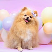 20Pcs Brown Dog Hair Bows with Rubber Bands for Small Medium Dogs – Essentials for Dogs - A334 - image 4