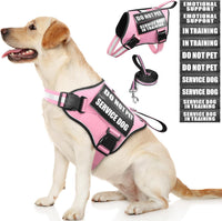 Service Dog Vest Harness and Leash Set+10 Patches - Medium / Pink