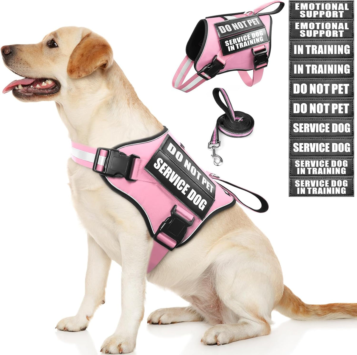 Service Dog Vest Harness and Leash Set+10 Patches - Medium / Pink