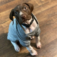 Soft Dog Hoodies for Small Dogs - Grey / Small - image 3