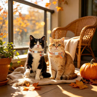 2 Pack Cute Cat Collars - Cartoon Bee Ladybug Breakaway Cat Collar with Bell & Matching Pendant - Flower Pumpkin - image 2