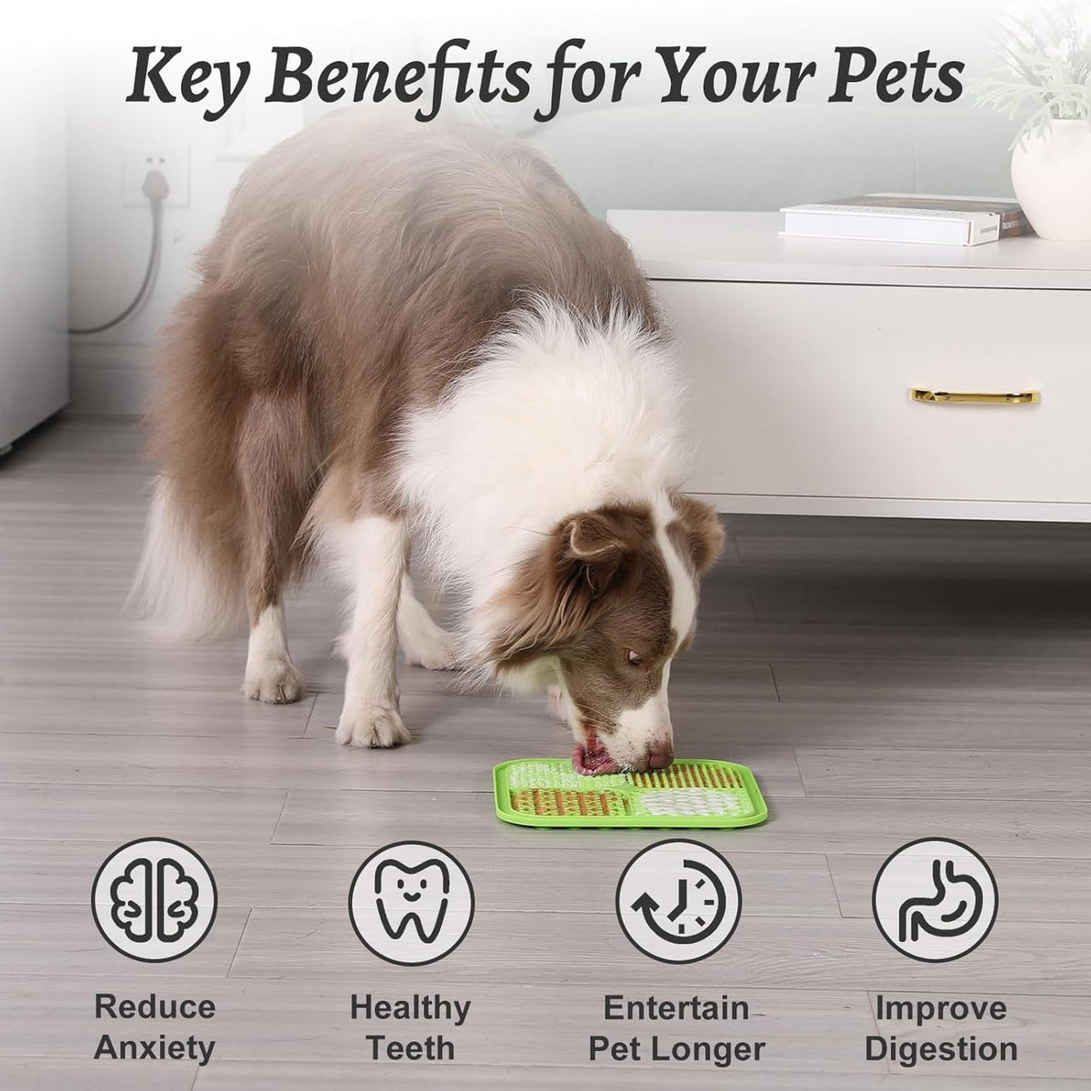 MateeyLife Lick Mat for Dogs & Cats - Blue&Green / 6"x6" - image 4