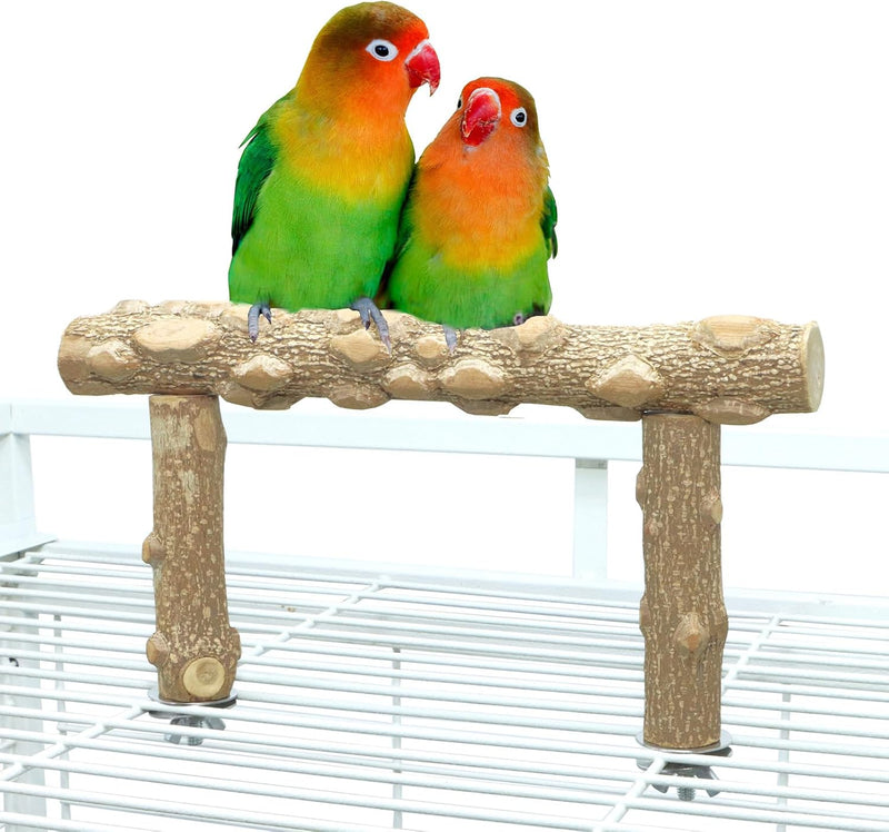 Bird Perch Stand,Natural Wood Cage Gym Toy Branch for Small Large Parrot – Essentials for Birds - S