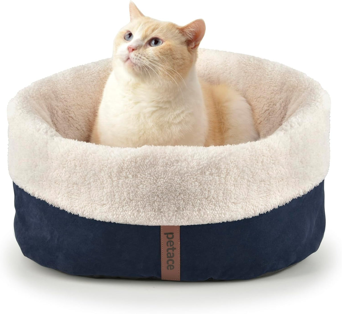 Heated Cat Bed with Pet Pad, 17.7"×13.7", Gray – Essentials for Cats - Blue / With Self Warming Pad