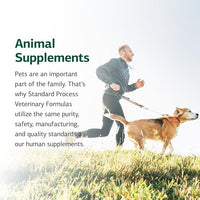 Standard Process Inc. Canine Whole Body Support - Multisystem Support Supplement for Canines - Nutritional Powder for Daily Health Maintenance - Multisystem Supplement Formula - 25 g
