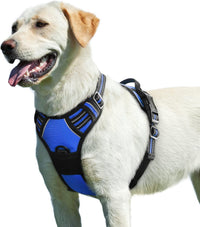 Eagloo Dog Harness for Large Dogs - Large / Blue