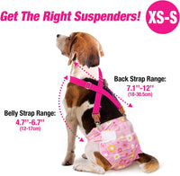 Pet Soft Dog Suspenders 2 Pieces Female Dog Diaper Suspenders - Brown & Burgundy / X-Small/Small - image 2
