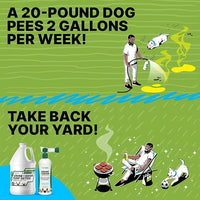 Urine & Odor Turf Detox: 2-Pack of 32 oz Professional Enzyme Cleaner & Odor Eliminator for Artificial Grass, Turf, Concrete, Patio & Kennels, Pet Urine Enzymatic Cleaner for Dogs & Cats
