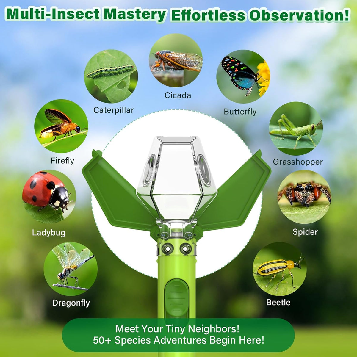 Bug Catcher for kids 6X Magnifier - Green / 1 - image 3