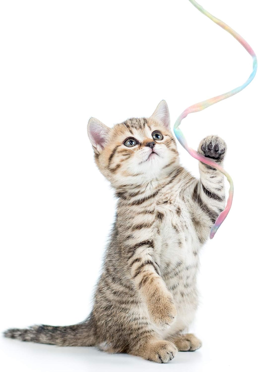 Sumind 3 Pieces Jungle Cat Wand Toys - Rainbow Color - image 4