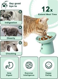 Y YHY Slow Feeder Cat Bowl, Ceramic Cat Slow Feeder Bowl - Green - image 2