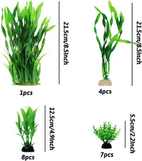 Aquarium Plants, Small to Large - image 2