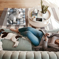 Elevated Outdoor Raised Dog Bed Outdoor Dogs Bed Lifted Pet Bed Dog Cot for Pet Taste Life, Start with A Pet Bed 20'' x 20'' x 6.5''