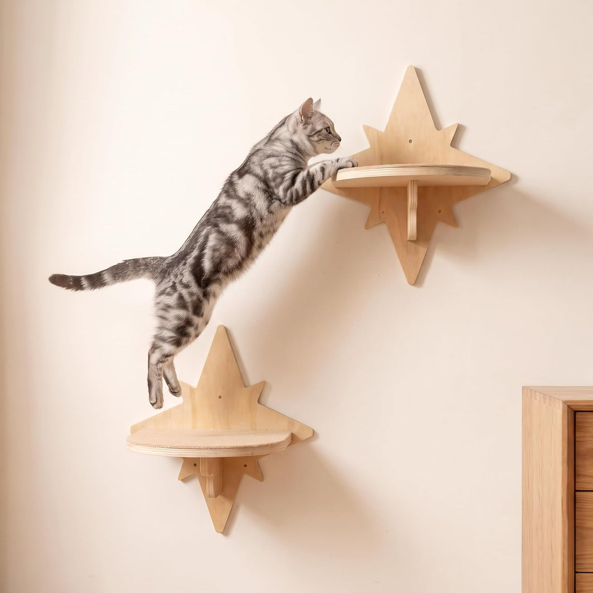 Moon & Star Cat Wall Shelves - Beige-star / M