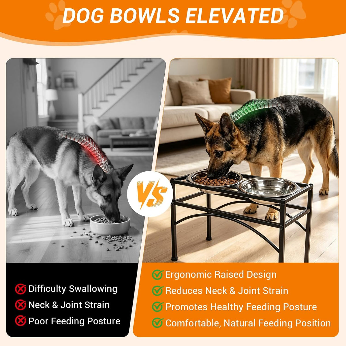 Elevated Dog Bowls Raised Pet Feeder Cat Food Water Diner Stand Set – Essentials for Dogs - M/10.7" Height - image 3