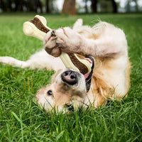 Sosation 6 Pcs Dog Toys for Aggressive Chewers Nylon Beef Flavor Bones Tough Puppy Teething Toys Puppy Chew Bones for Large Medium Small Breed Dogs Puppies Pets Chew Toys(Large Medium)