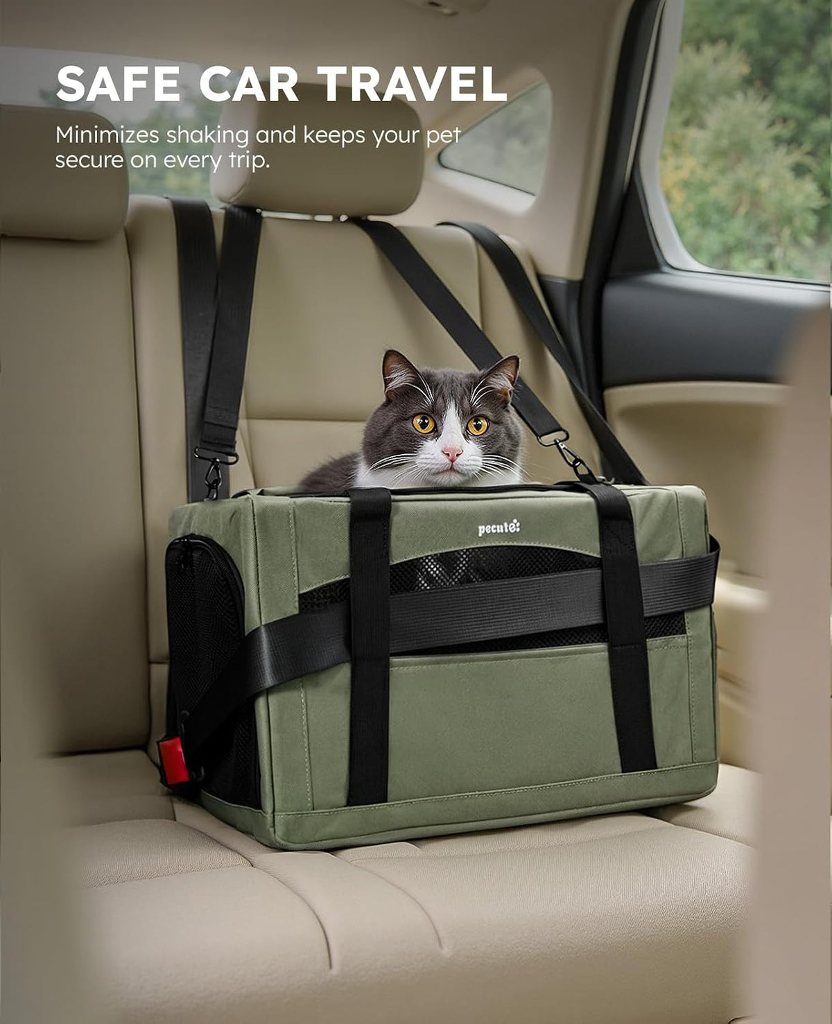 Pecute Cat Carrier Stable, Pet Carrier with Privacy Partition - Green Regular / 16.9"L x 11.0"W x 11.0"H - image 3