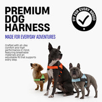 Dog Friendly Co. Dog Harness for Medium Sized Dogs – Essentials for Dogs - Red / Large - image 3