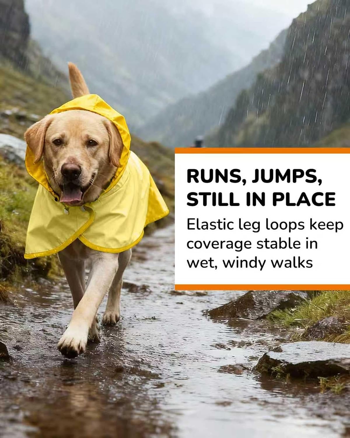 Waterproof Dog Raincoat with Hood - Large / Yellow - image 4
