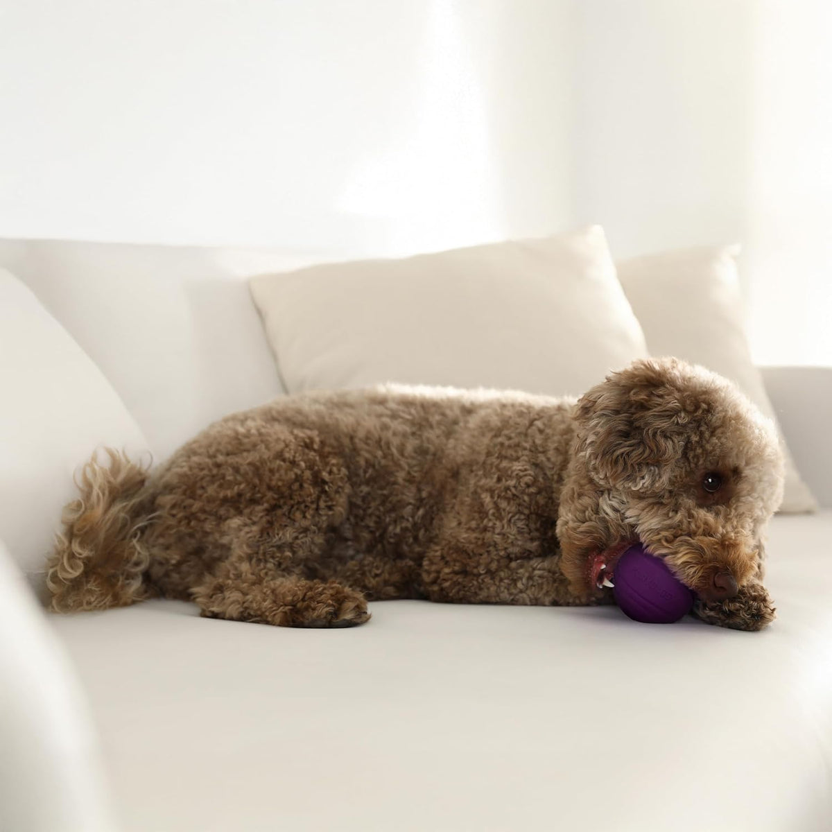 Playology Durable Large Dual Layer Dog Ball, Peanut Butter Scent - Medium / Bacon - image 3