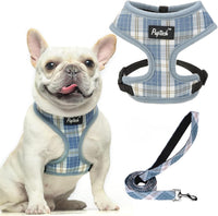 Pupteck Soft Mesh Dog Harness Sized and Leash Set Pet Puppy Cat - Sky Blue / S (NECK: 12", CHEST: 14"-18") / Classic over-the-head harness