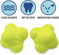 Hyper Pet Fetching Dog Toys - One Size / Bumpy Ball - image 2