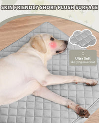Orthopedic XL Dog Beds Large Sized with Washable Cover, 41x27 - 35.0"L x 22.0"W x 3.0"Th / Light Gray - image 2